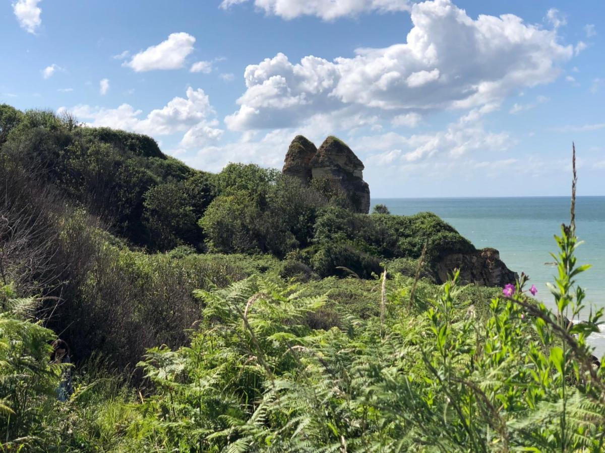 Le Petit Clos Du Bessin Longues-sur-Mer Bagian luar foto